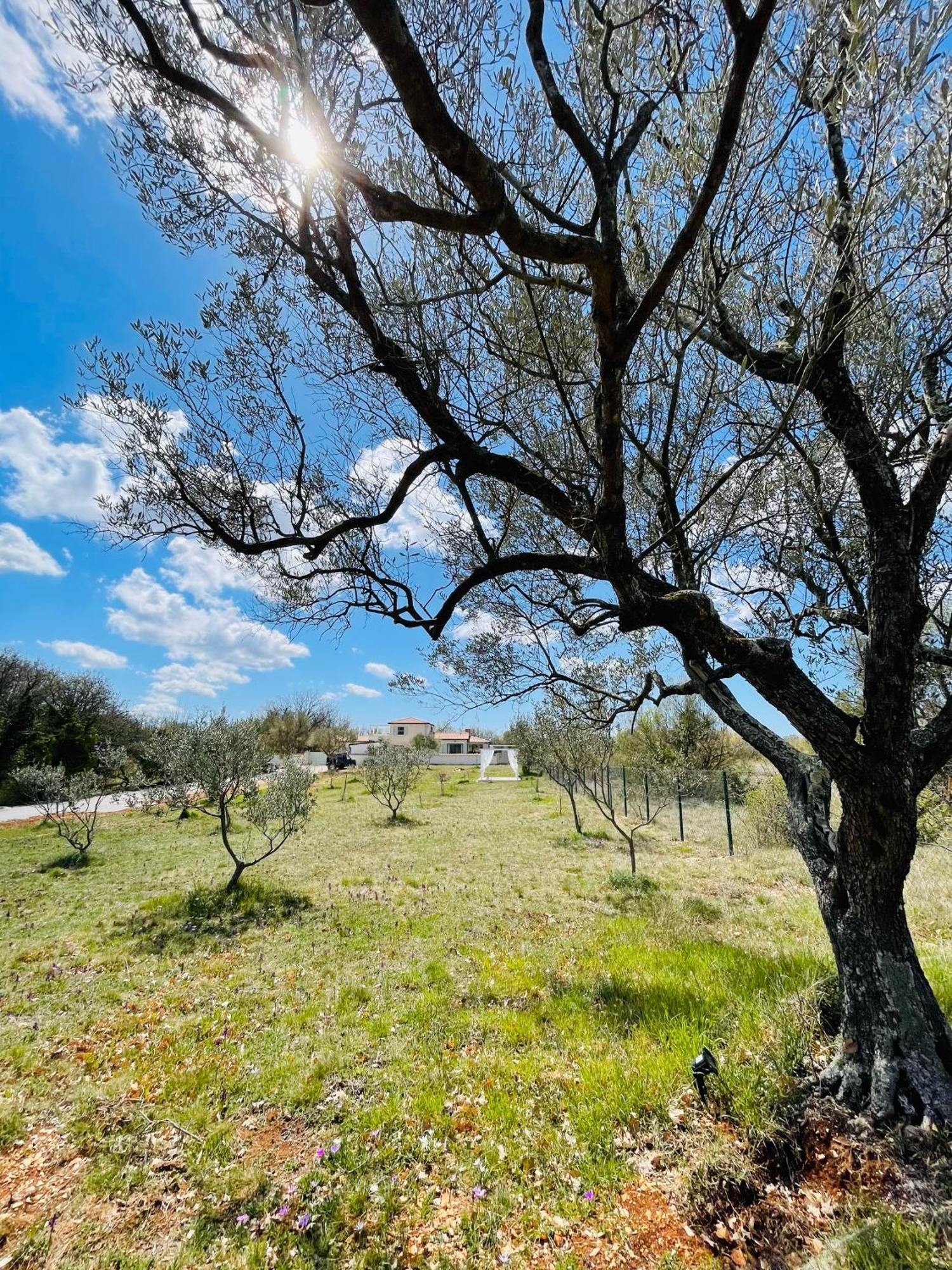 Luxury Villa In Istria - 9,000 Sqm Private Estate With Pool & Sauna, 15 Min To Sea, Near Fazana, 3 Bedrooms Juršići Εξωτερικό φωτογραφία