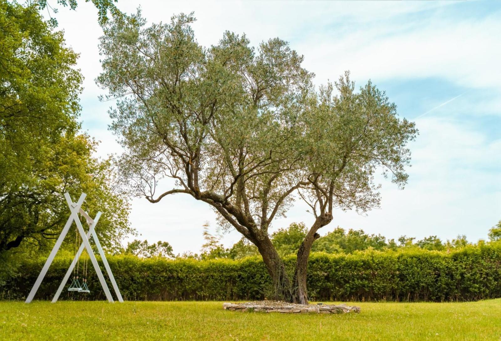 Luxury Villa In Istria - 9,000 Sqm Private Estate With Pool & Sauna, 15 Min To Sea, Near Fazana, 3 Bedrooms Juršići Εξωτερικό φωτογραφία